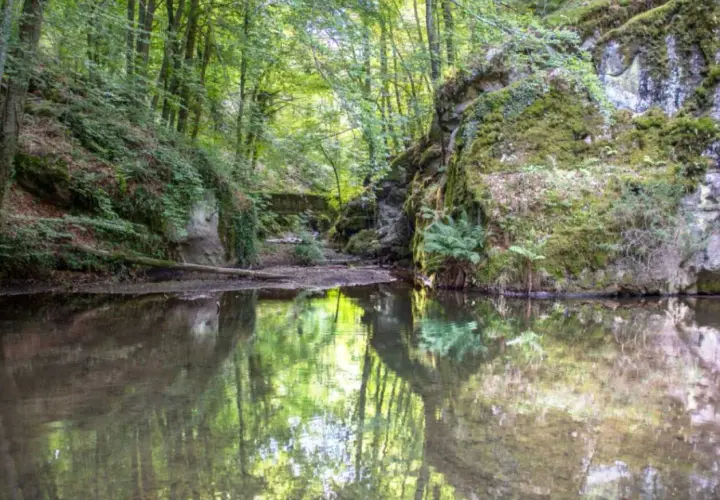 Riflessi verdi nell'acqua di un ruscello nella faggeta del Monte Amiata, tra rocce muschiose e alberi rigogliosi.