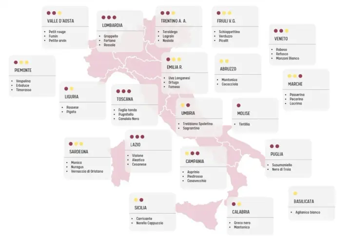 Mappa dell'Italia con i vitigni tipici per regione. Scopri quanti vitigni ci sono in Italia, da nord a sud.