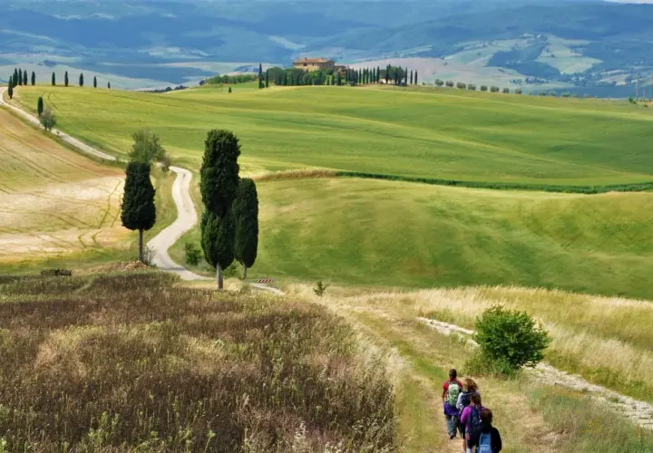 Un gruppo di escursionisti percorre un sentiero nella **route des vins toscane**, tra dolci colline verdi e cipressi iconici.