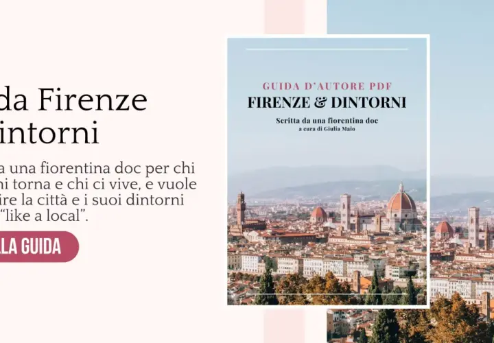 Scopri Firenze e dintorni con una guida locale. Perfetta per chi visita o vive la città, per un'esperienza autentica. Ideale per chi cerca una visita cantine Firenze.