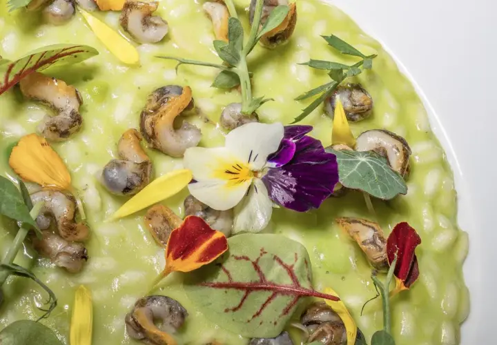 Un risotto verde brillante con lumachine, fiori eduli e petali gialli. Un prato città in miniatura, un'opera d'arte commestibile.