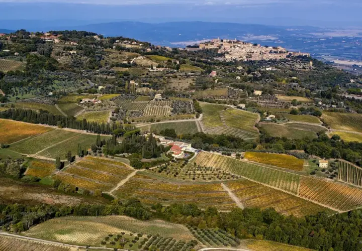 Paesaggio toscano con vigneti e uliveti, ideale per una degustazione Biondi Santi.