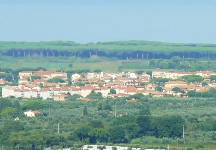 Panoramica di Donoratico, con case dai tetti rossi immerse nel verde degli ulivi e una pineta sullo sfondo. Cosa vedere in questo scorcio di Toscana.