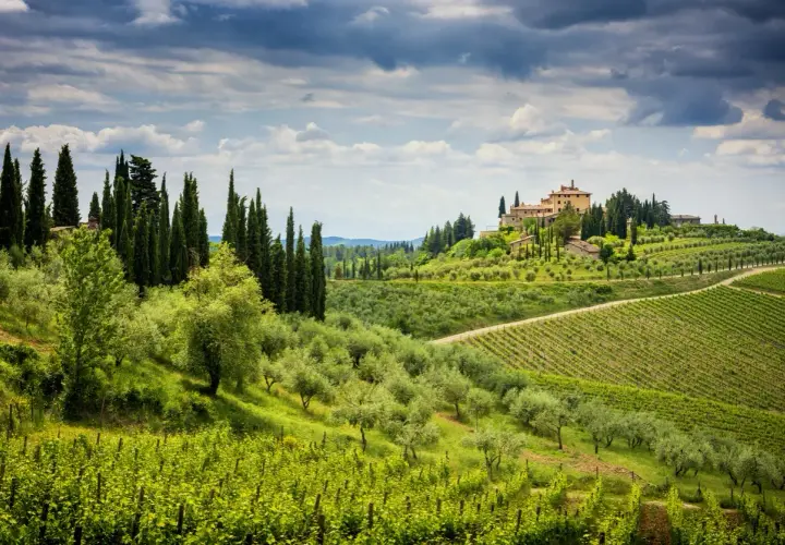 Colline verdi della **chianti zona** con vigneti, ulivi e un casale in cima.