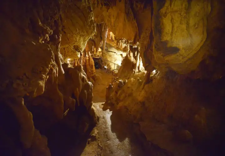 Interno della grotta Maona, con stalattiti e stalagmiti illuminate, sentiero e ringhiere per i visitatori.