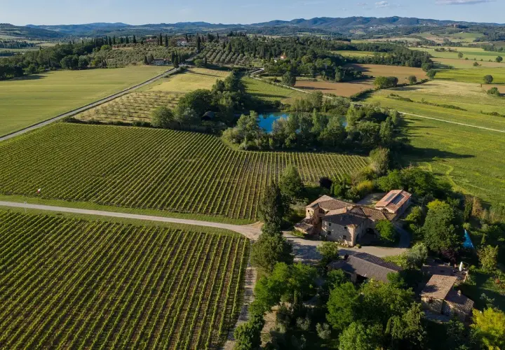 Vigneti rigogliosi e campi verdi circondano la fattoria Carpineta Fontalpino, con un laghetto azzurro e case in pietra sotto un cielo limpido.