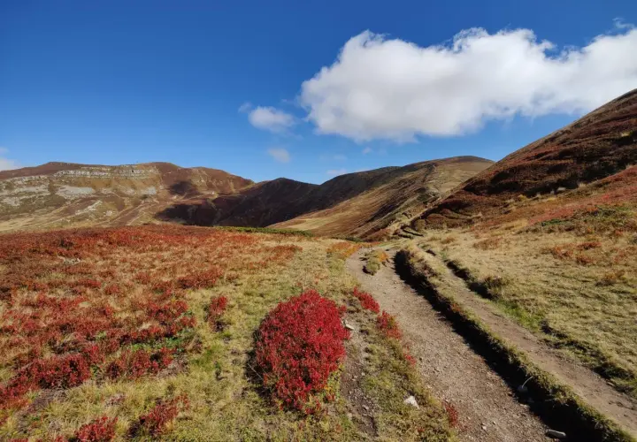 Sentiero autunnale tra i colori di San Marcello Pistoiese.