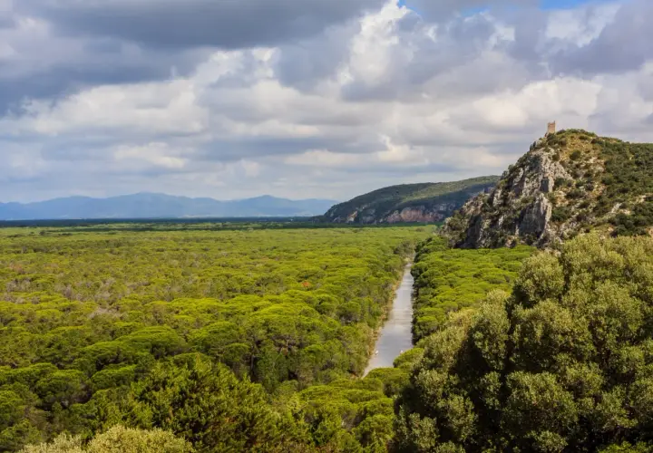 Un fiume serpeggia tra fitti boschi verdi, un paesaggio tipico dei parchi della Toscana, con una torre antica su una collina rocciosa.