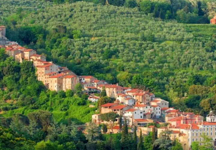 Antichi borghi vicino Pistoia si aggrappano alla collina, circondati da uliveti lussureggianti e vegetazione mediterranea.