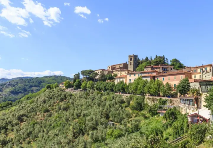 Panoramica di Montecatini Alto, un borgo toscano su una collina verdeggiante. Un luogo incantevole da esplorare, con case colorate e un campanile antico.
