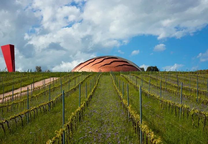 Vigneti in pendenza sotto un cielo nuvoloso, con un edificio a forma di cupola che ricorda il carapace di un animale e un obelisco rosso.