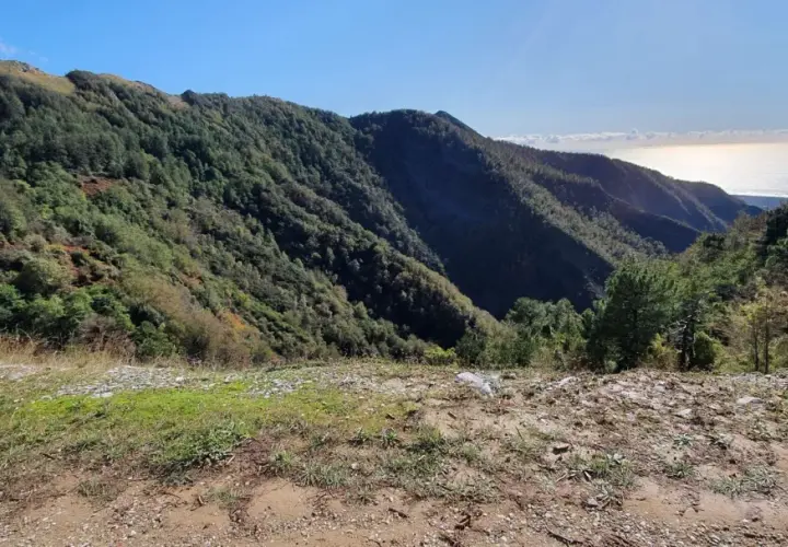 Panoramica di montagne boscose con il mare all'orizzonte, un paesaggio che evoca la serenità del pasquilio massa.