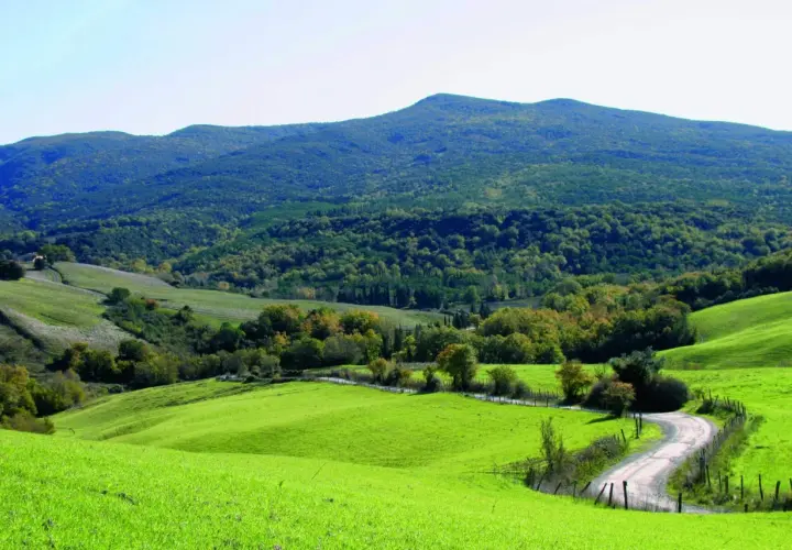 Dolci colline verdi nel Val di Cecina, con una strada tortuosa che serpeggia tra prati e boschi.