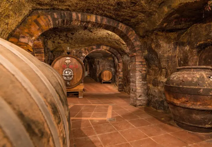 Cantina sotterranea con botti di legno e anfora antica, un viaggio sensoriale a Colle Santa Mustiola.
