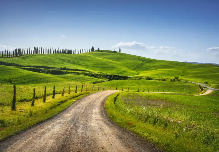 Strada sterrata tra dolci colline verdi in Toscana, un invito a scoprire cosa vedere a Monteroni d'Arbia.