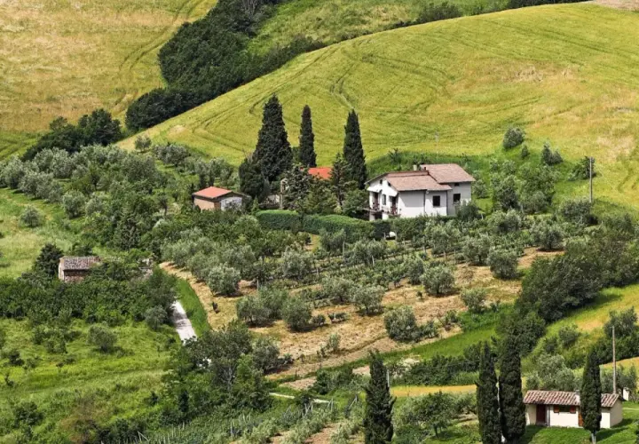 Colline toscane con uliveti e vigneti, dove si intravedono piccoli borghi vicino a San Casciano Val di Pesa.