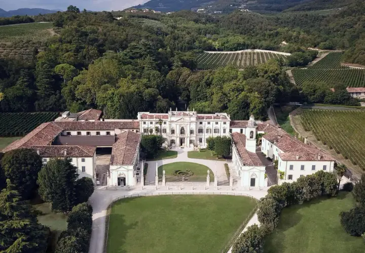 Tenuta Santa Maria: maestosa villa circondata da vigneti e alberi, con un ampio prato antistante.