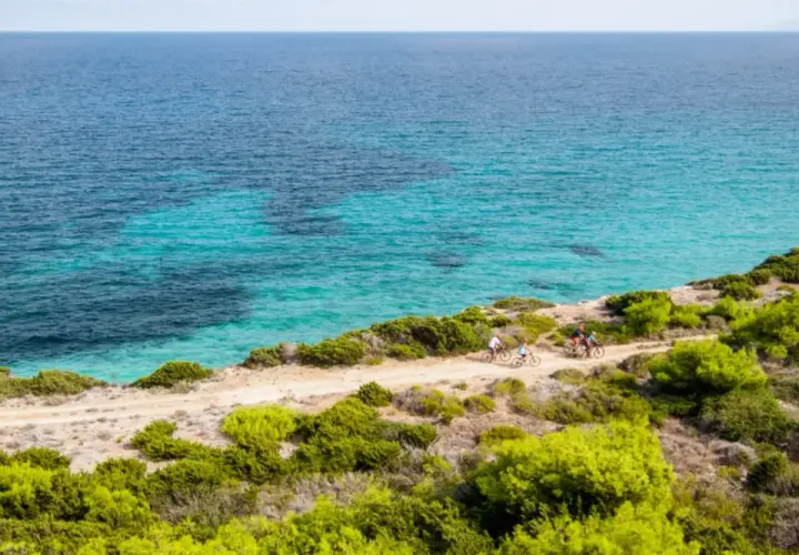 Ciclisti esplorano la costa dell'isola di Pianosa, con acque cristalline e vegetazione mediterranea.