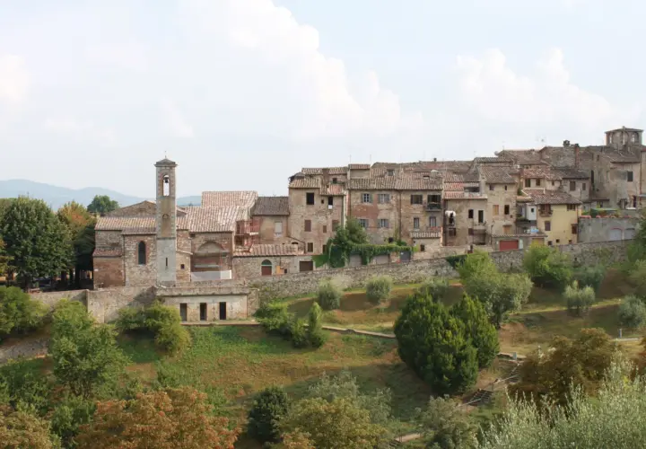 Panoramica di Colle Val d'Elsa, con le sue case in pietra e il campanile che svetta tra gli alberi verdi.