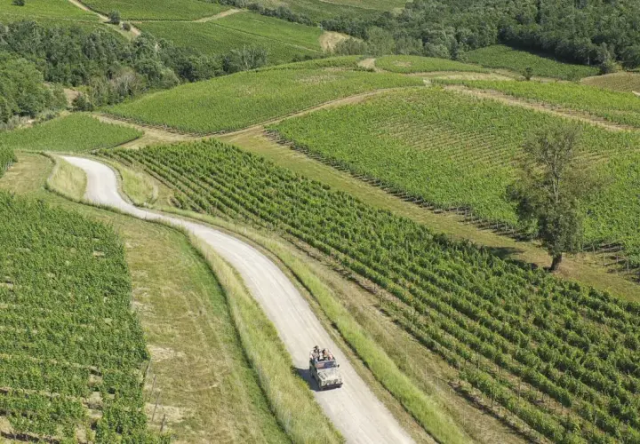 Un tour cantine Chianti in fuoristrada tra dolci colline e vigneti rigogliosi.