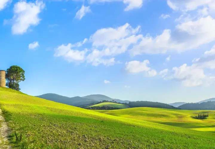 Colline verdi sotto un cielo azzurro con nuvole bianche, un sentiero sterrato conduce a una torre antica. Paesaggio tipico per i vini toscani.