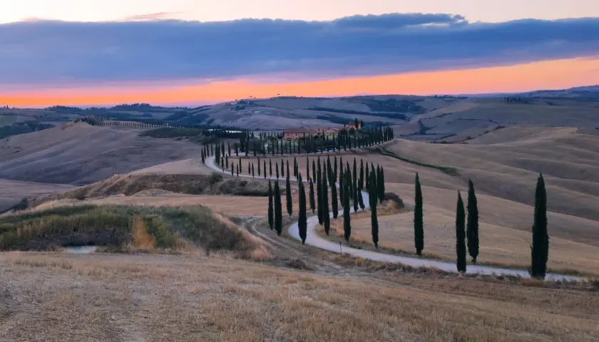 Winding road lined with cypress trees leading to a Tuscan villa at sunset.