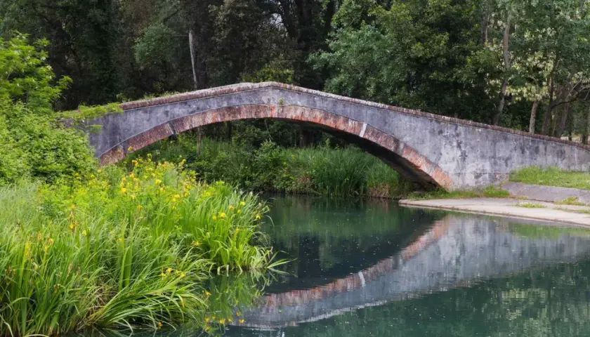 Ponte in pietra nel parco della Versiliana, con vegetazione lussureggiante e fiori gialli che si specchiano nell'acqua calma.
