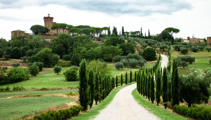 Strada bianca serpeggia tra cipressi nel **Val d'Orcia Pienza**, con un casale in cima alla collina.