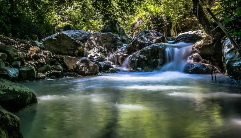 Cascata in un bosco rigoglioso, con rocce levigate dall'acqua. Un'oasi di pace che ricorda le suggestive terme di Siena.