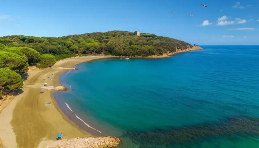 Spiaggia dorata baciata da acque turchesi, un angolo di paradiso tra i pini marittimi. Un vero gioiello tra le punta ala spiagge più belle.