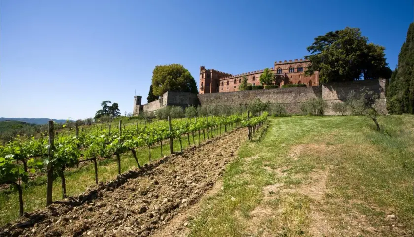 Un vigneto rigoglioso si estende verso un antico castello in mattoni rossi, un'immagine iconica della strada dei castelli del Chianti.