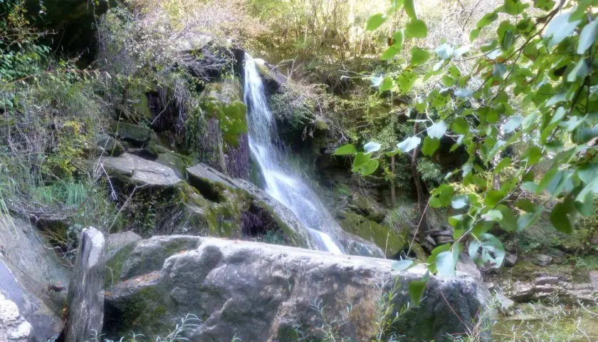 Cascate naturali a Monteverdi Marittimo, con rocce ricoperte di muschio e vegetazione lussureggiante.