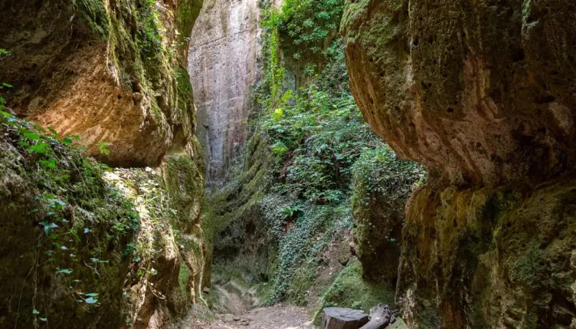 Un sentiero stretto tra alte pareti rocciose ricoperte di muschio e vegetazione. Un luogo selvaggio dove la natura regna sovrana, cosa vedere in questo canyon incantato.
