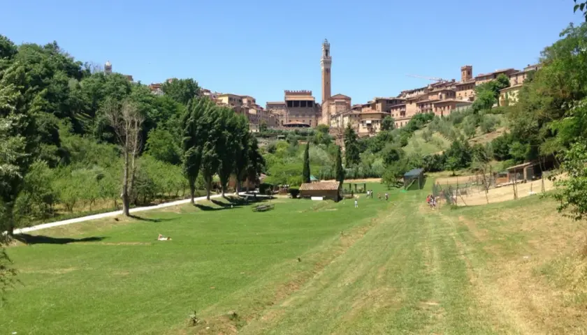 Prato verde con alberi e la città di Siena sullo sfondo, con la Torre del Mangia visibile. Un luogo tranquillo, forse l'orto dei pecci siena.