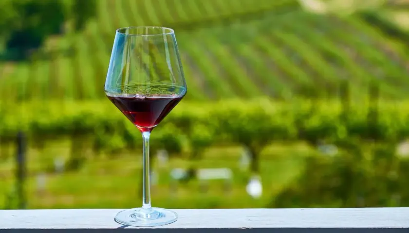 Calice di vino rosso su un tavolo con vigneti verdi sullo sfondo, un assaggio dei migliori vini.