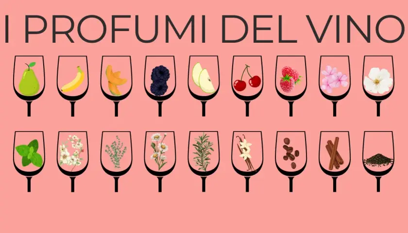 I profumi del vino: pere, banane, meloni, more, mele, ciliegie, lamponi, fiori, menta, camomilla, rosmarino, vaniglia, caffè, cannella, pepe. I vitigni aromatici offrono un'ampia gamma di sentori.