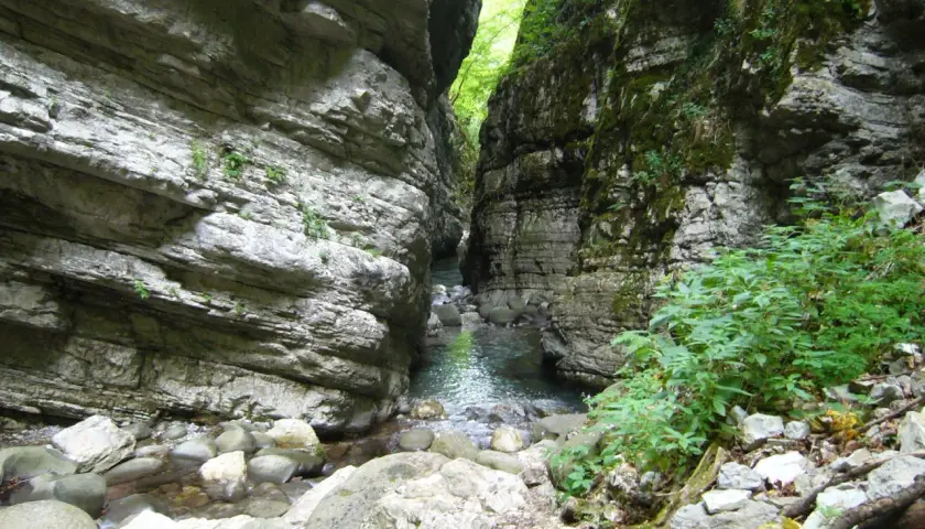 Un torrente scorre tra le alte pareti rocciose dell'orrido di Botri, con vegetazione che cresce tra le rocce e lungo le sponde.