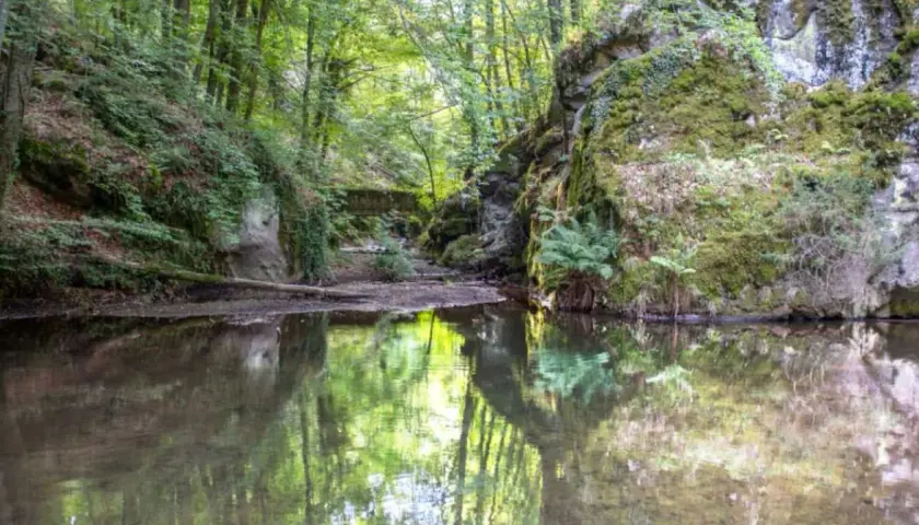 Riflessi verdi nell'acqua di un ruscello nella faggeta del Monte Amiata, tra rocce muschiose e alberi rigogliosi.