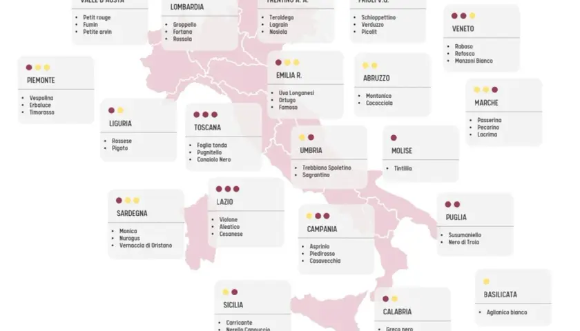 Mappa dell'Italia con i vitigni tipici per regione. Scopri quanti vitigni ci sono in Italia, da nord a sud.