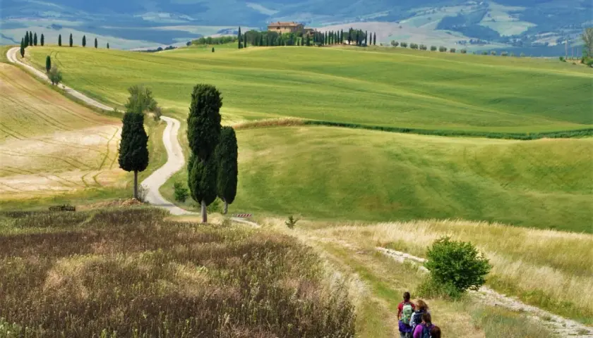 Un gruppo di escursionisti percorre un sentiero nella **route des vins toscane**, tra dolci colline verdi e cipressi iconici.
