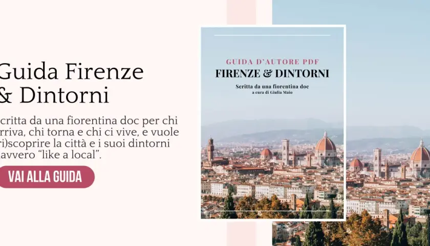 Scopri Firenze e dintorni con una guida locale. Perfetta per chi visita o vive la città, per un'esperienza autentica. Ideale per chi cerca una visita cantine Firenze.