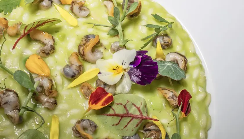 Un risotto verde brillante con lumachine, fiori eduli e petali gialli. Un prato città in miniatura, un'opera d'arte commestibile.
