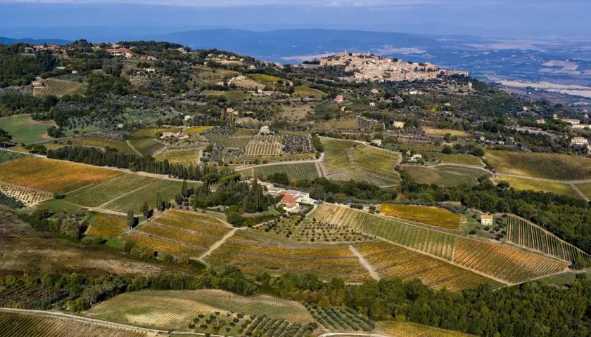 Paesaggio toscano con vigneti e uliveti, ideale per una degustazione Biondi Santi.