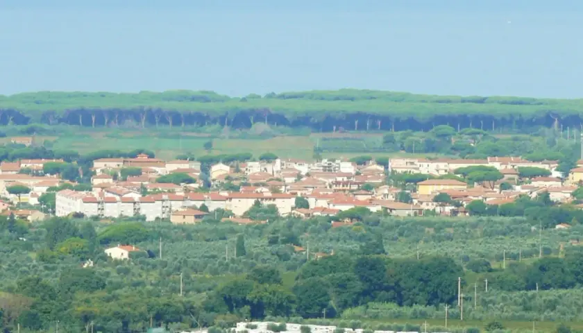 Panoramica di Donoratico, con case dai tetti rossi immerse nel verde degli ulivi e una pineta sullo sfondo. Cosa vedere in questo scorcio di Toscana.