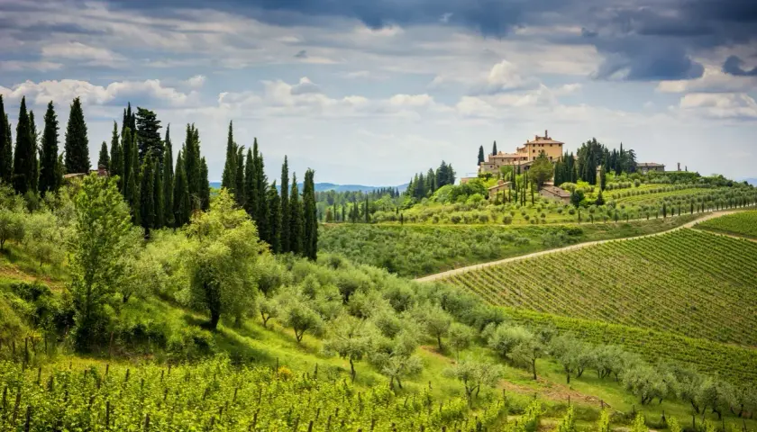 Colline verdi della **chianti zona** con vigneti, ulivi e un casale in cima.