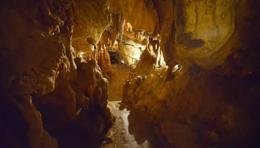 Interno della grotta Maona, con stalattiti e stalagmiti illuminate, sentiero e ringhiere per i visitatori.