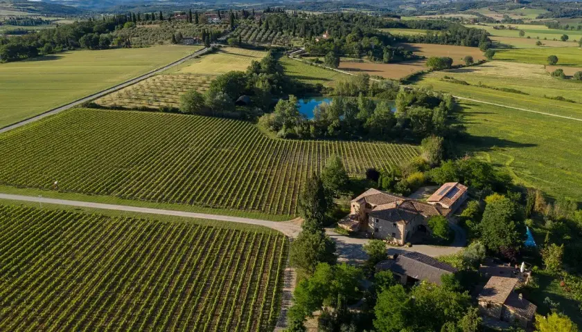 Vigneti rigogliosi e campi verdi circondano la fattoria Carpineta Fontalpino, con un laghetto azzurro e case in pietra sotto un cielo limpido.