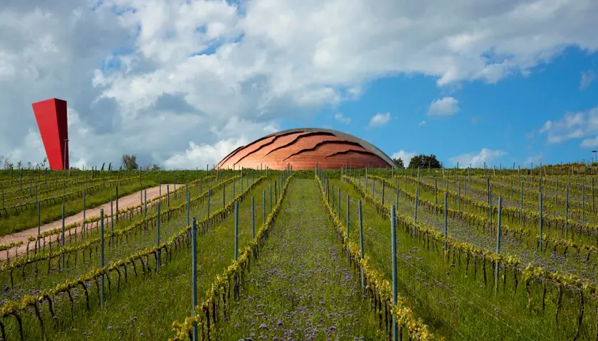Vigneti in pendenza sotto un cielo nuvoloso, con un edificio a forma di cupola che ricorda il carapace di un animale e un obelisco rosso.