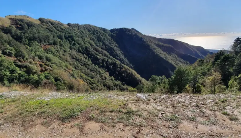 Panoramica di montagne boscose con il mare all'orizzonte, un paesaggio che evoca la serenità del pasquilio massa.