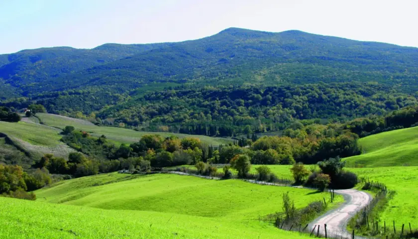 Dolci colline verdi nel Val di Cecina, con una strada tortuosa che serpeggia tra prati e boschi.